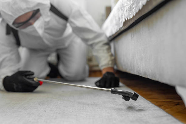 Professional Bed Bug Control technician working in Eden Prairie, MN
