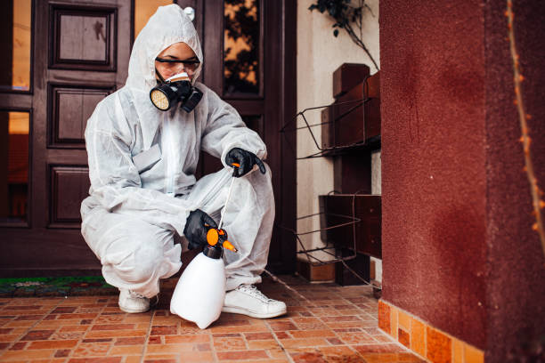 Reliable Bed Bug Control contractor in Eden Prairie, MN by Nex Pest Control