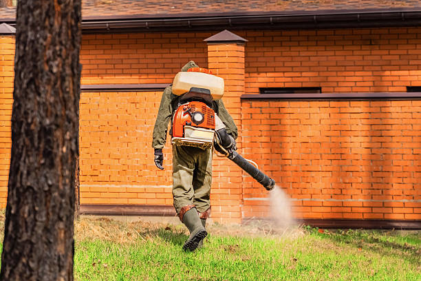 Trusted Mosquito Control service in Eden Prairie, MN - Nex Pest Control